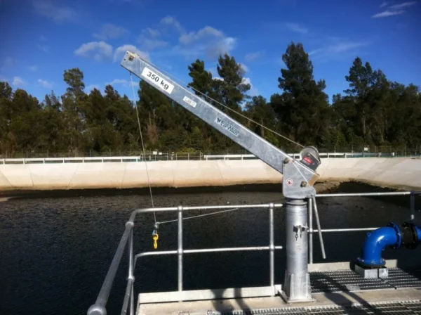 Davit crane LDS3 with winch Materials Handling Pty Ltd (A) Davit crane LDS3 with winch Materials Handling Pty Ltd (A)