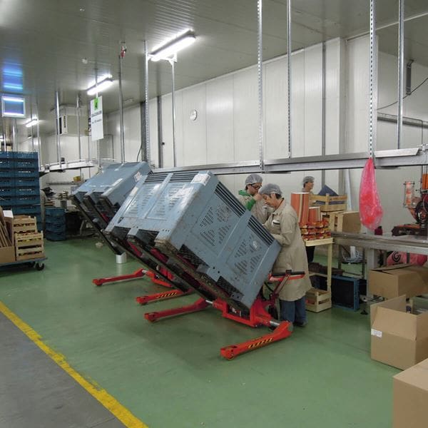 LTS1001 Stillage Bin Tilter 3 LTS1001 Stillage Bin Tilter 3