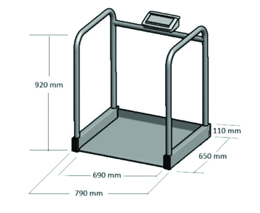 Walk On Bariatric Scale WOBS Walk On Bariatric Scale WOBS